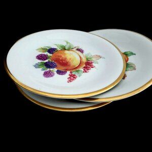 Vintage Fruit Plates Set of 3 Schwarzenhammer Germany Porcelain 7.5" Bavaria